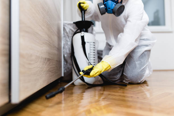 Best Bed Bug Extermination  in Irwindale, CA