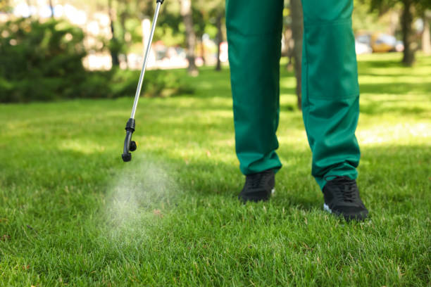 Best Mosquito Control Services  in Irwindale, CA
