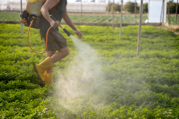 Best Wildlife Control Services  in Irwindale, CA