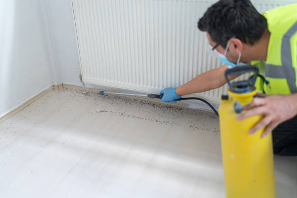 Best Local Pest Control Services  in Irwindale, CA